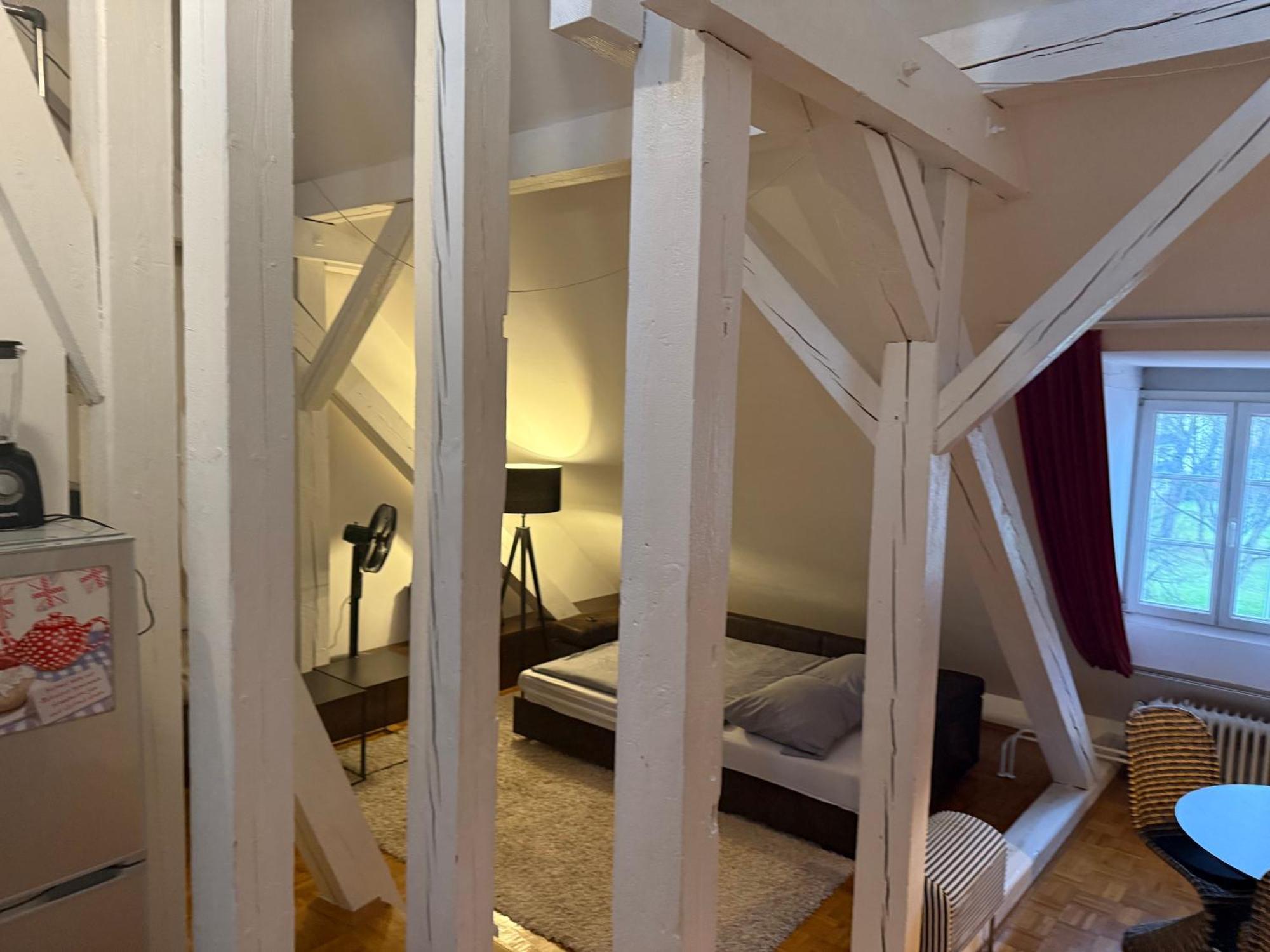 Whliving - Apartments & Studios In Konstanz Luaran gambar